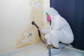 Best Commercial Mold Inspection  in Cornville, AZ